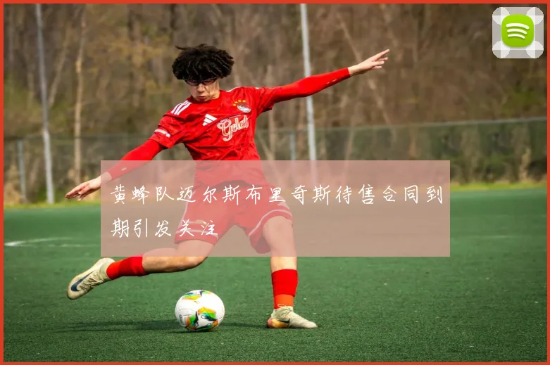 黄蜂队迈尔斯布里奇斯待售合同到期引发关注